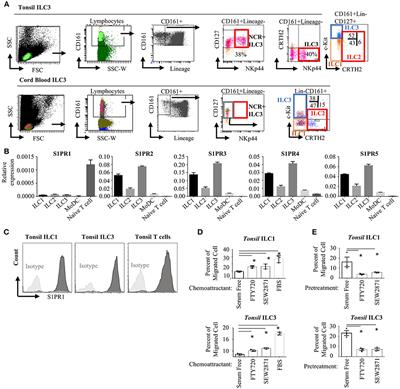 Fingolimod Alters Tissue Distribution and Cytokine Production of Human and Murine Innate Lymphoid Cells